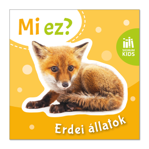 Mi ez? – Erdei állatok